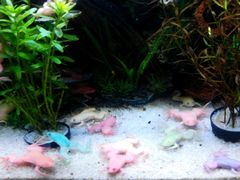 android_upload_pic-洛阳龙门海洋馆