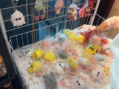 -海味当家·蒸锅海鲜(星海公园店)