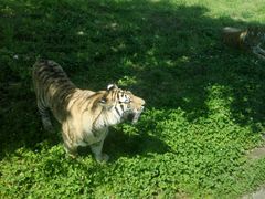 -西安秦岭野生动物园