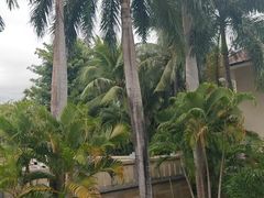 -三亚海棠湾万丽度假酒店