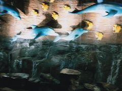 -横店影视城梦幻谷园区