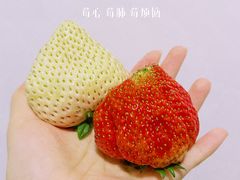 -西郊国际农产品交易中心
