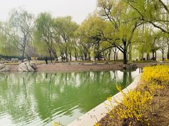 -达活泉公园
