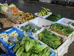 -新鸿港水果市场