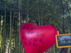 -将军关探险漂流