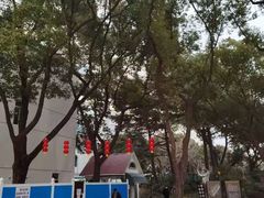 -兰溪青年公园