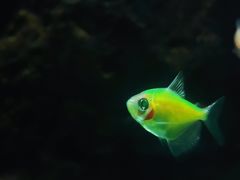 -苏州海洋馆