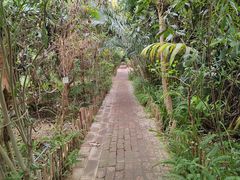 -呀路古热带植物园