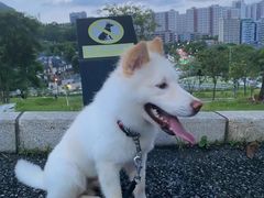-白石龙音乐公园