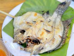 小罗非鱼-杨合林啊兰烤鱼