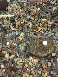 -钓虾工场·钓虾·赶海(回龙观店)