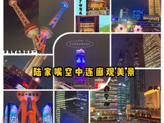 -陆家嘴空中步行连廊