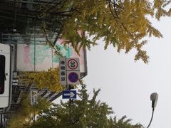 -奎星楼街