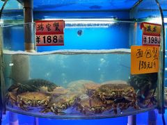 水产区-蔚海之都·象山蒸汽海鲜(仙霞路店)