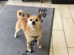 -全家便利店(法华寺街店)