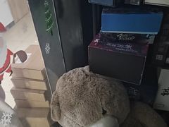 -剧狐剧本杀(徐汇1号店)