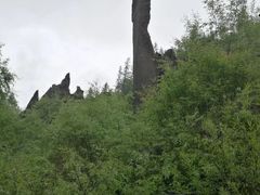 -峡谷浮石林景区