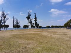 -漕湖湿地公园