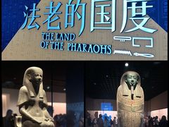 -尚想绘·艺术中考·中考咨询