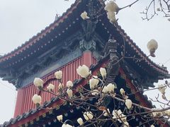 -面包日报