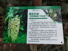 -中国科学院西双版纳热带植物园