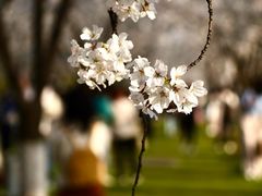 -龙美术馆(西岸馆)