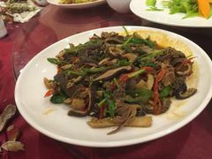 -日照君临天下大酒店