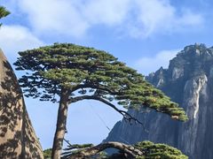 -黄山风景区