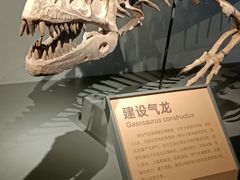 -四川大学博物馆