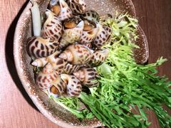 秘制糟花螺-周家二小姐的菜(西津渡店)