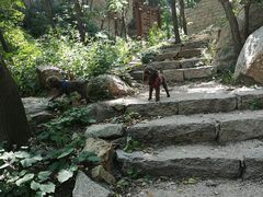 -大岭沟猕猴桃谷风景区