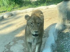 -北京野生动物园