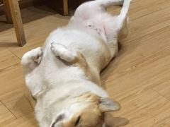 -阿木舂记·特色小吃(平江路店)