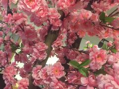 -沕沕水生态风景区