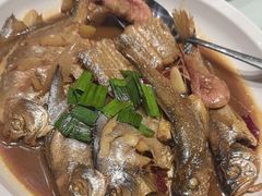 -洲晓鲜·舟山海鲜大排档(朱家尖风景区店)