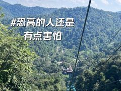 -野象谷景区