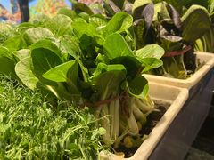 -粗粮人家·东北菜(洋桥店)