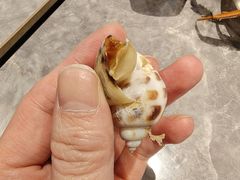 -争先鲜·蒸汽海鲜自助·鲜切牛肉