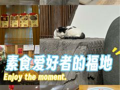 -龙华素斋(龙华路店)