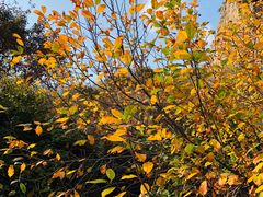 -白草畔自然风景区