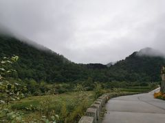 -黑河国家森林公园