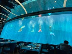 -瑞德姆美人鱼海底演艺主题餐厅(亚龙湾店)