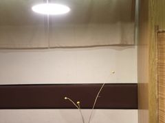 -柴务处·柴犬主题狗咖