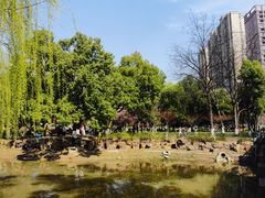 -堤角公园