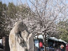 -北京西山国家森林公园