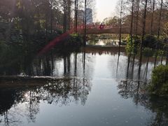 -云溪植物园