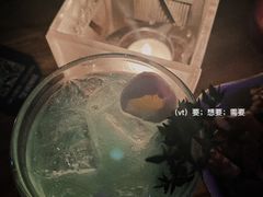 -TZ House音乐现场(茅台店)