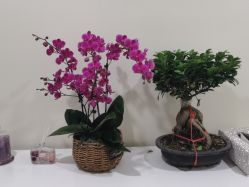 -海涛医疗美容·面部抗衰·注射美鼻