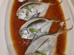 清蒸小白鲳-金时代顺风大酒店(临港百联店)