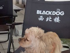 -品回味清真西北楼(宁波首店)